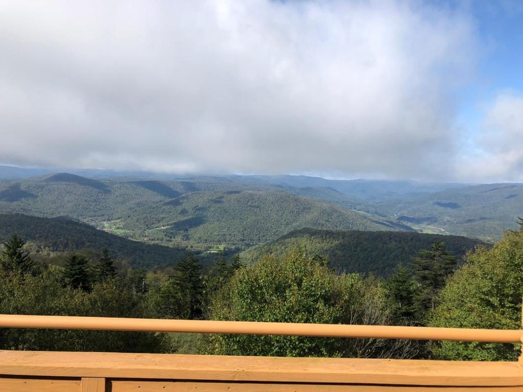 301 D Summit Dr. , Snowshoe Mountains, Wv 26209 Exterior foto